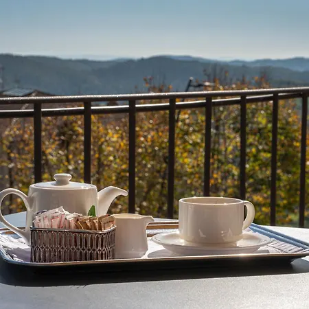 Hotel Palazzo Leopoldo Dimora Storica & Radda in Chianti